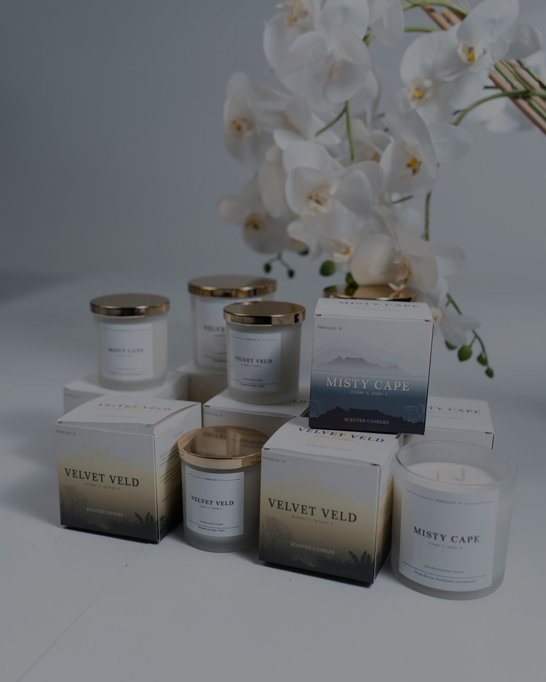 The Candle Voyage